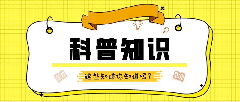 探索资讯百科新视界